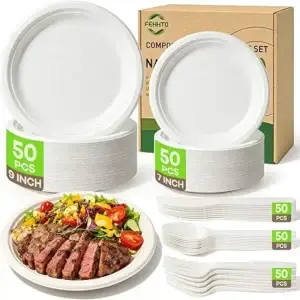 250PCS Disposable Paper Plates Set and Utensils, Compostable Dinnerware 9 and 7inch Plates, Biodegradable Paper Plates, Forks, Knives and Spoons for Party 50 People